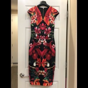 Ted Baker Dress
